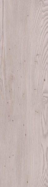 8102701-sRGB-800-scaled-154x1024 8102701-sRGB-800-scaled-154x1024