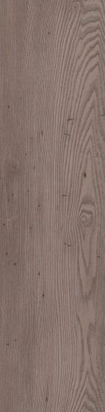 8103201-sRGB-800-scaled-154x1024 8103201-sRGB-800-scaled-154x1024