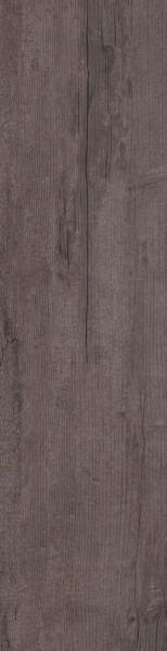 8103301-sRGB-800-scaled-154x1024 8103301-sRGB-800-scaled-154x1024