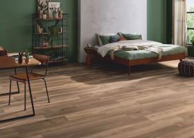 Broad-Leaf-Warm-Sycamore-41815-Room-1000x750